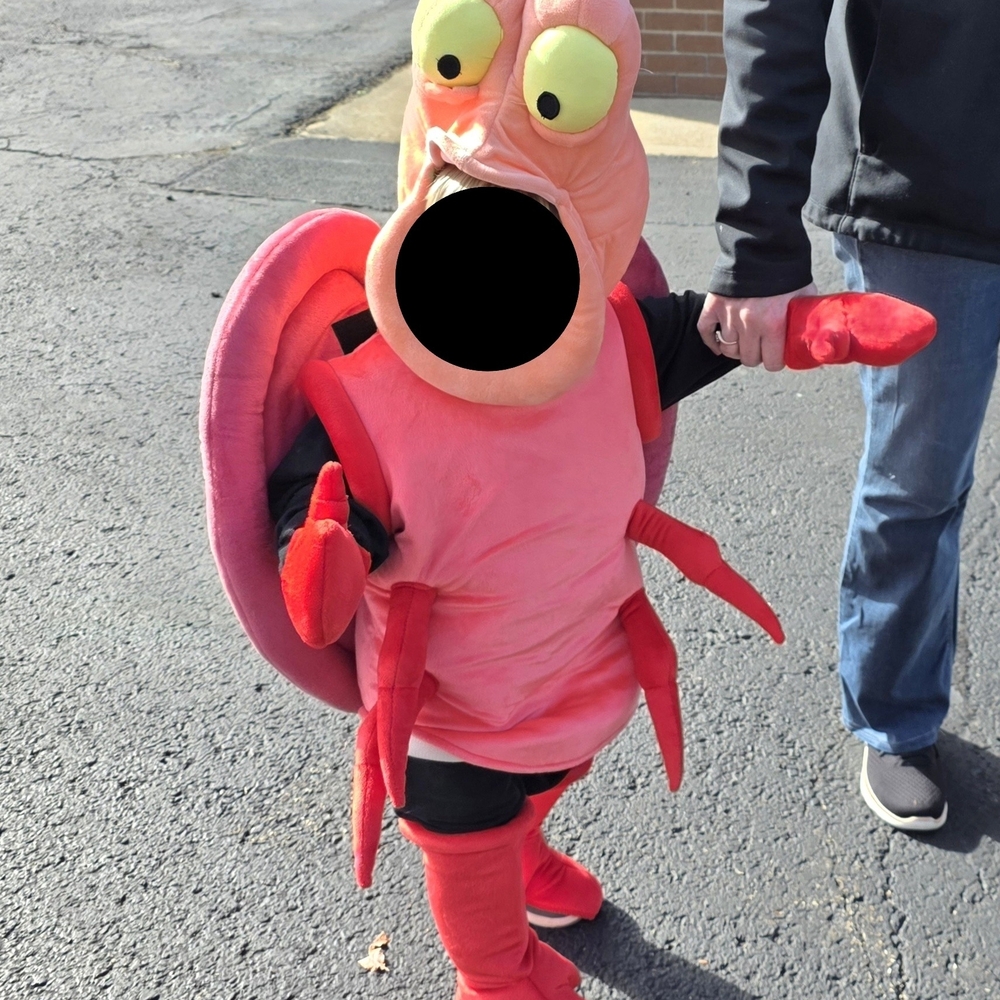 Kids Disney Crab Costume - Size 2T